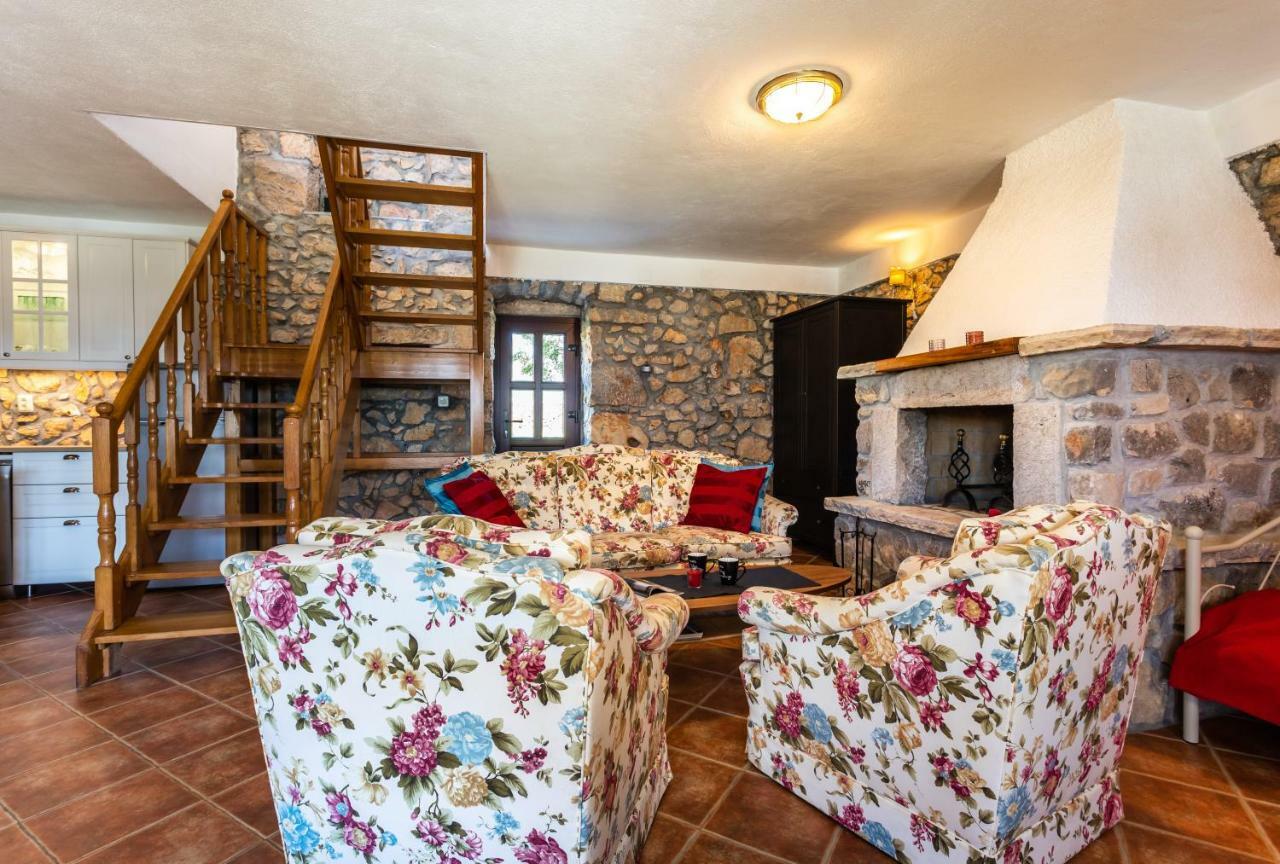 Villa Korina Пинезичи Экстерьер фото