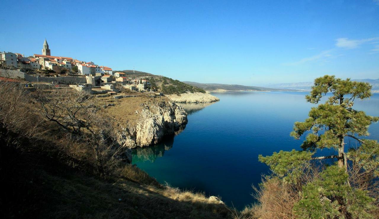 Villa Korina Пинезичи Экстерьер фото
